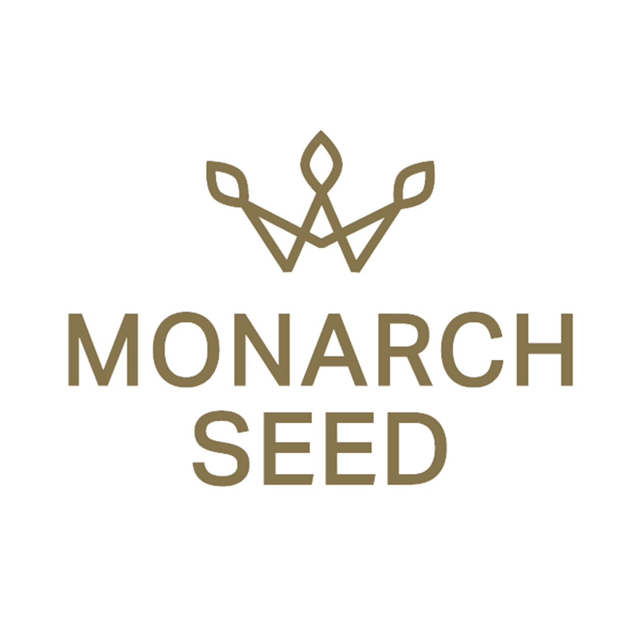 Monarch Seed